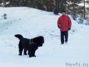 Превью фото № 140738