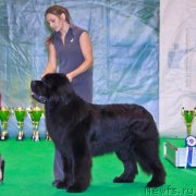 Превью фото № 140743