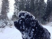 Превью фото № 140753