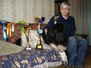 Превью фото № 140759