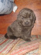 Превью фото № 140801