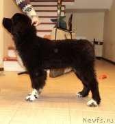 Превью фото № 140837