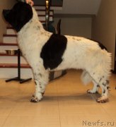 Превью фото № 140840