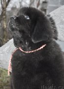 Превью фото № 140890