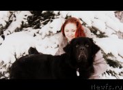 Превью фото № 140891