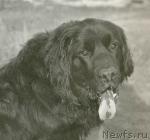 Превью фото № 1409