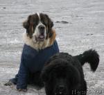 Превью фото № 14090