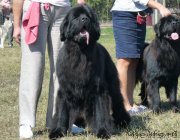 Превью фото № 140963