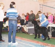 Превью фото № 140993