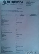 Превью фото № 141068