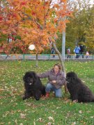 Превью фото № 141076