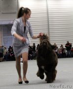 Превью фото № 141102