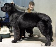 Превью фото № 141111