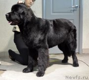 Превью фото № 141112