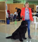 Превью фото № 141113