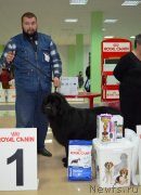 Превью фото № 141115