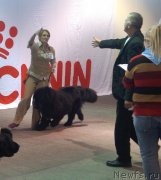 Превью фото № 141139