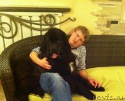 Превью фото № 141142