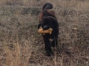 Превью фото № 141143