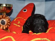 Превью фото № 141204