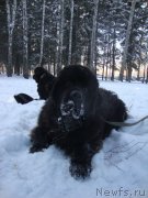 Превью фото № 141244