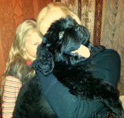 Превью фото № 141287