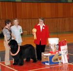 Превью фото № 14129