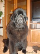 Превью фото № 141342