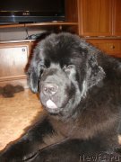 Превью фото № 141344