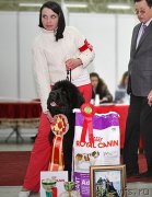 Превью фото № 141355