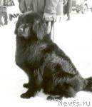 Превью фото № 1414