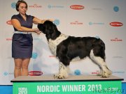 Превью фото № 141432