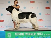 Превью фото № 141440