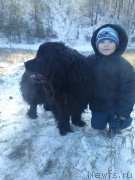 Превью фото № 141467