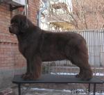 Превью фото № 14147