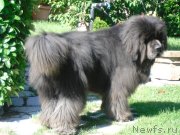 Превью фото № 141495