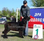 Превью фото № 14151