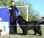 Превью фото № 14154