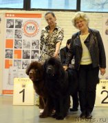 Превью фото № 141540