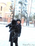 Превью фото № 141541