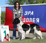 Превью фото № 14155