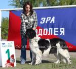 Превью фото № 14156