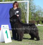 Превью фото № 14157