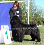 Превью фото № 14158