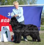 Превью фото № 14162