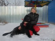 Превью фото № 141633