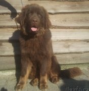 Превью фото № 141637