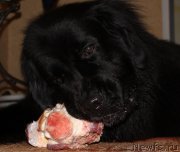 Превью фото № 141711