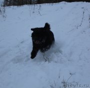 Превью фото № 141717