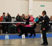 Превью фото № 141820